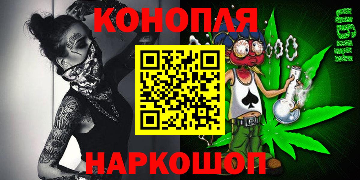 Бошки Шишки планчик Калуга